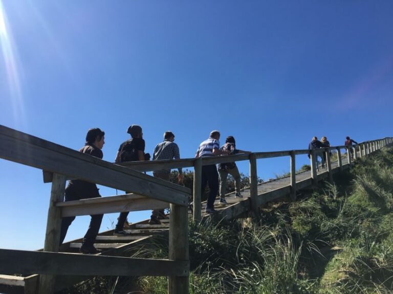 From Hobart: Full-Day Bruny Island Tour with Guide - Why This Tour Offers Great Value