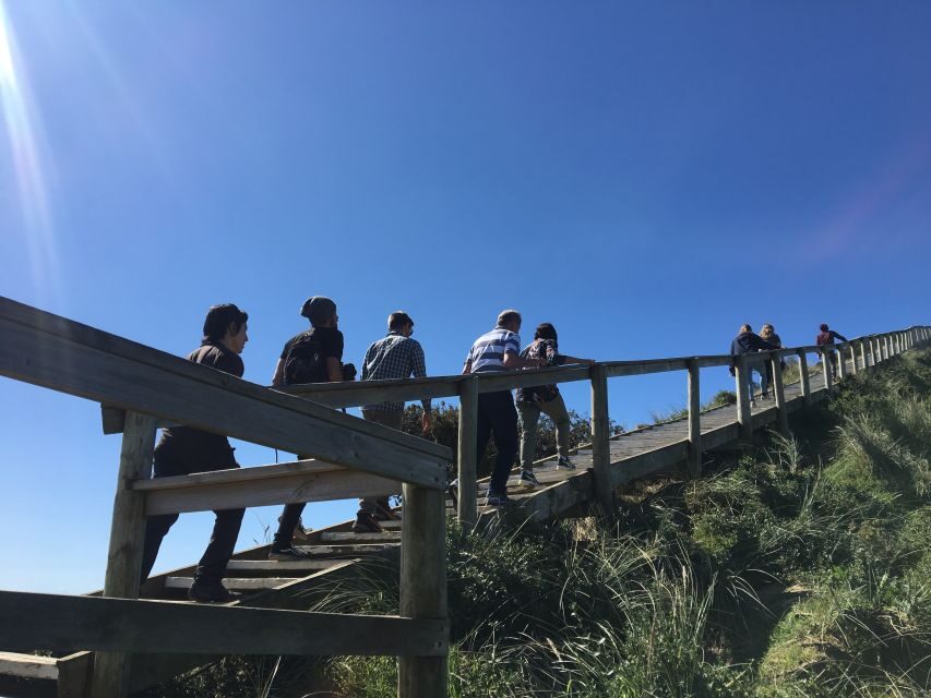 From Hobart: Full-Day Bruny Island Tour with Guide - Why This Tour Offers Great Value