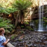 From Hobart: Mt. Field, Mt. Wellington and Wildlife Day Tour - Transportation and Group Size