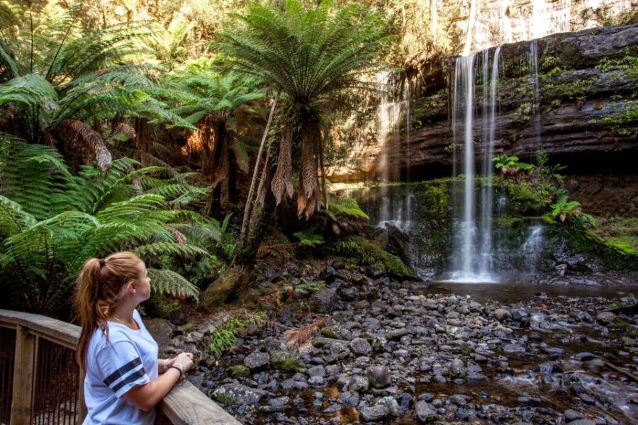 From Hobart: Mt. Field, Mt. Wellington and Wildlife Day Tour - Transportation and Group Size