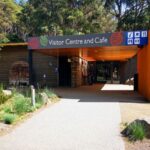 From Hobart: Mt. Field National Park and Russell Falls - Exploring the Itinerary in Depth
