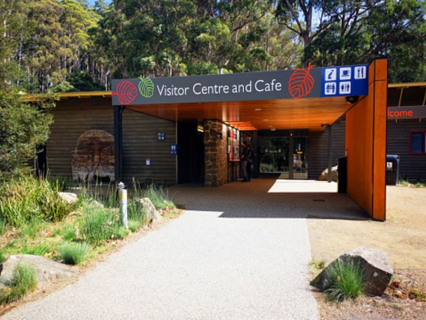 From Hobart: Mt. Field National Park and Russell Falls - Exploring the Itinerary in Depth