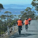 From Hobart: Mt Wellington Summit & Rainforest Bike Tour - Who Would Love This Experience?