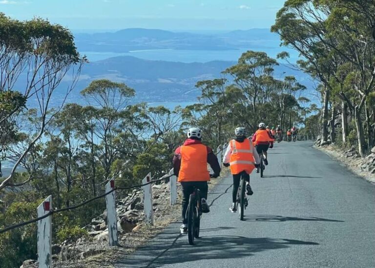 From Hobart: Mt Wellington Summit & Rainforest Bike Tour - Who Would Love This Experience?