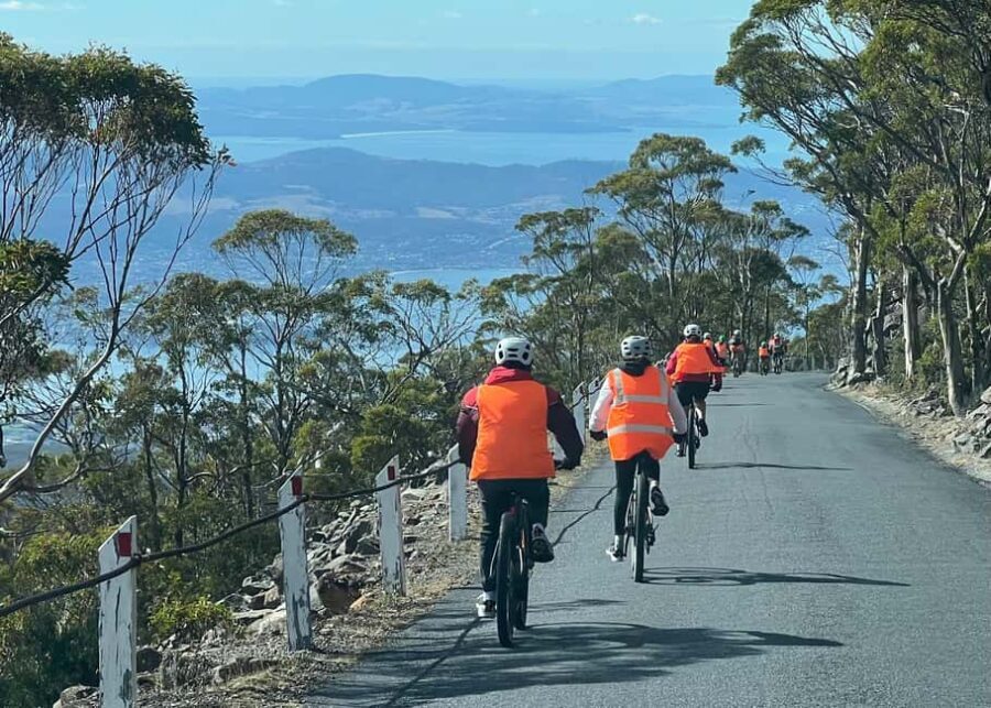 From Hobart: Mt Wellington Summit & Rainforest Bike Tour - Who Would Love This Experience?
