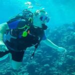 From Hurghada: Orange bay Snorkeling Cruise with Lunch - Why This Tour Works Well
