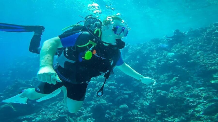 From Hurghada: Orange bay Snorkeling Cruise with Lunch - Why This Tour Works Well