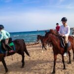 From Hurghada: Red Sea Sunrise and Desert Horseback Riding - Authentic Experiences and Genuine Reviews