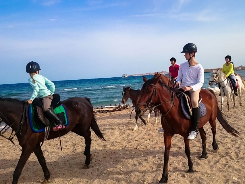 From Hurghada: Red Sea Sunrise and Desert Horseback Riding - Authentic Experiences and Genuine Reviews