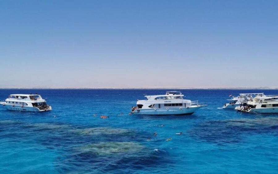 From Hurghada: Scuba Diving with Expert Guide & 2 Dives - The Experience: Pros and Cons