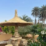 From Jazan: Farasan Island 2-Day Trip with Accommodation - Culinary Highlights: Seafood & Beachside Breakfasts