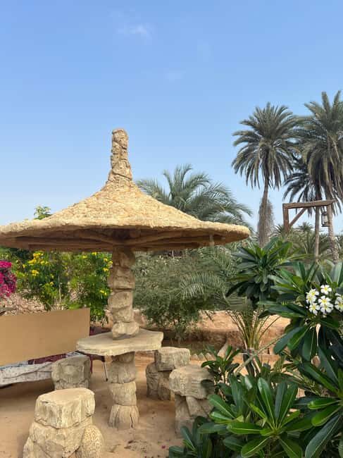 From Jazan: Farasan Island 2-Day Trip with Accommodation - Culinary Highlights: Seafood & Beachside Breakfasts