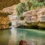From Jerusalem: Masada, Ein Gedi, Dead Sea Guided Tour - What Makes This Tour Worth Considering?