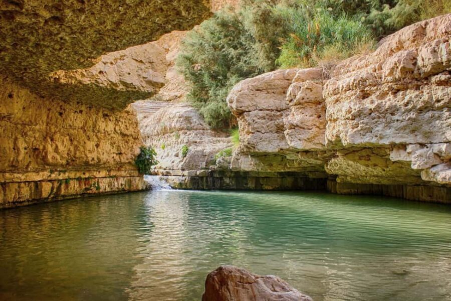 From Jerusalem: Masada, Ein Gedi, Dead Sea Guided Tour - What Makes This Tour Worth Considering?