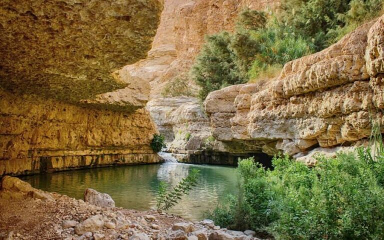 From Jerusalem: Masada Sunrise, Ein Gedi & Dead Sea Day Trip - What Is Included and What You Should Know