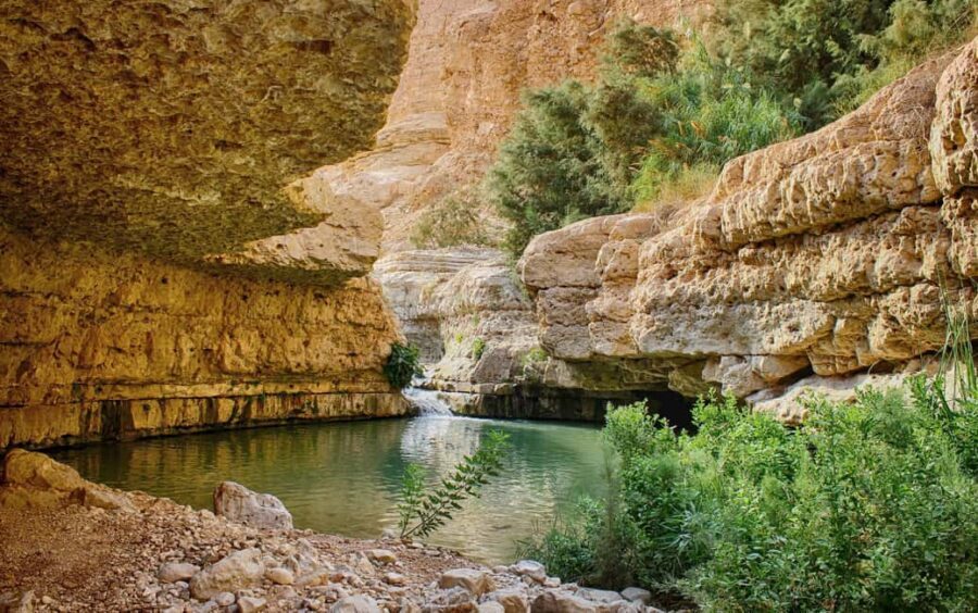 From Jerusalem: Masada Sunrise, Ein Gedi & Dead Sea Day Trip - What Is Included and What You Should Know