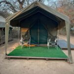 From Johannesburg: 2-Day Kruger National Park Tented Safari - The Practicalities: Timing, Transportation, and Comfort