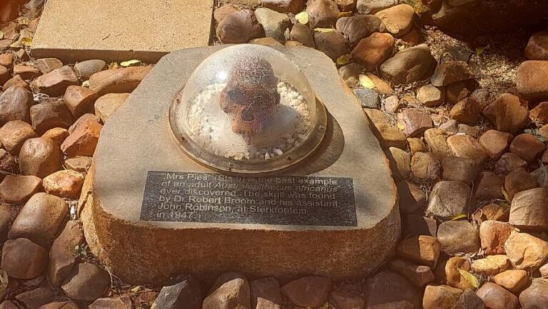 From Johannesburg: Cradle of Humankind Private Half-Day Tour - What Makes This Tour Stand Out?