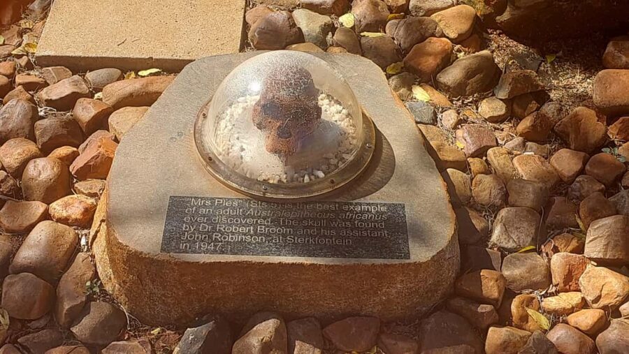 From Johannesburg: Cradle of Humankind Private Half-Day Tour - What Makes This Tour Stand Out?