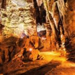 From Johannesburg: Cradle of Humankind Tour - Who Will Love This Tour?