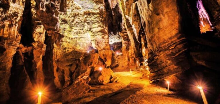 From Johannesburg: Cradle of Humankind Tour - Who Will Love This Tour?