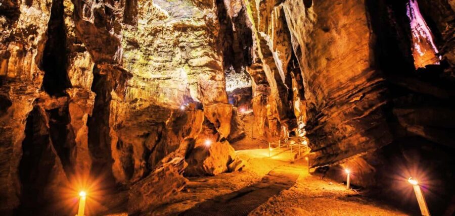 From Johannesburg: Cradle of Humankind Tour - Who Will Love This Tour?