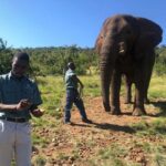 From Johannesburg: Elephant and Monkey Sanctuary Day Trip - Who Should Consider This Tour?