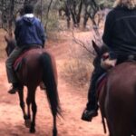 From Johannesburg: Horse-Riding Safari - Who Will Love This Tour?