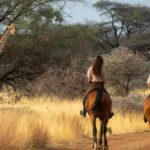 From Johannesburg: Horse-Riding Safari and Cable Car Tour - The Scenic Cable Car Ride