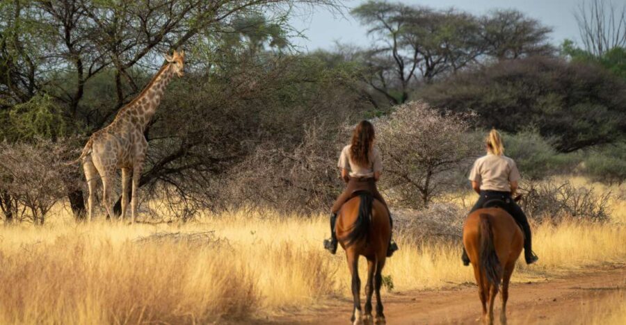 From Johannesburg: Horse-Riding Safari and Cable Car Tour - The Scenic Cable Car Ride