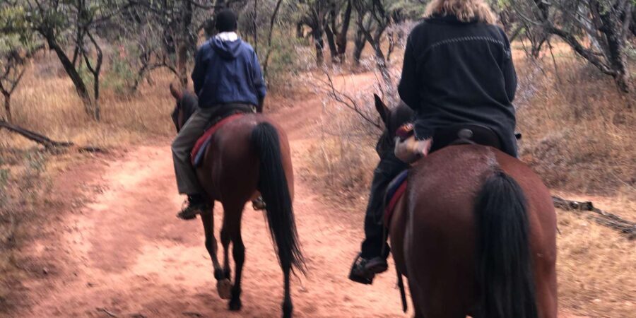 From Johannesburg: Horse-Riding Safari - Who Will Love This Tour?