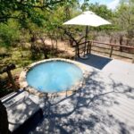 From Johannesburg: Kruger National Park 4-Day Luxury Safari - Practical Tips and Considerations