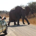 From Johannesburg: Kruger National Park 5-Day Luxury Safari - Key Points