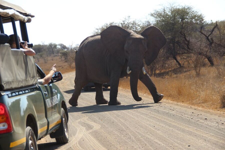 From Johannesburg: Kruger National Park 5-Day Luxury Safari - Key Points