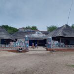 From Johannesburg: Lesedi Cultural Village & Lion Park Tour - A Practical Overview of the Tour