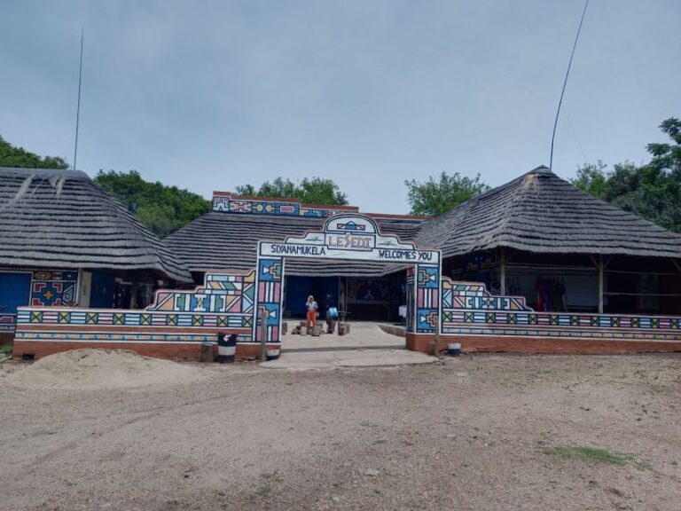 From Johannesburg: Lesedi Cultural Village & Lion Park Tour - A Practical Overview of the Tour