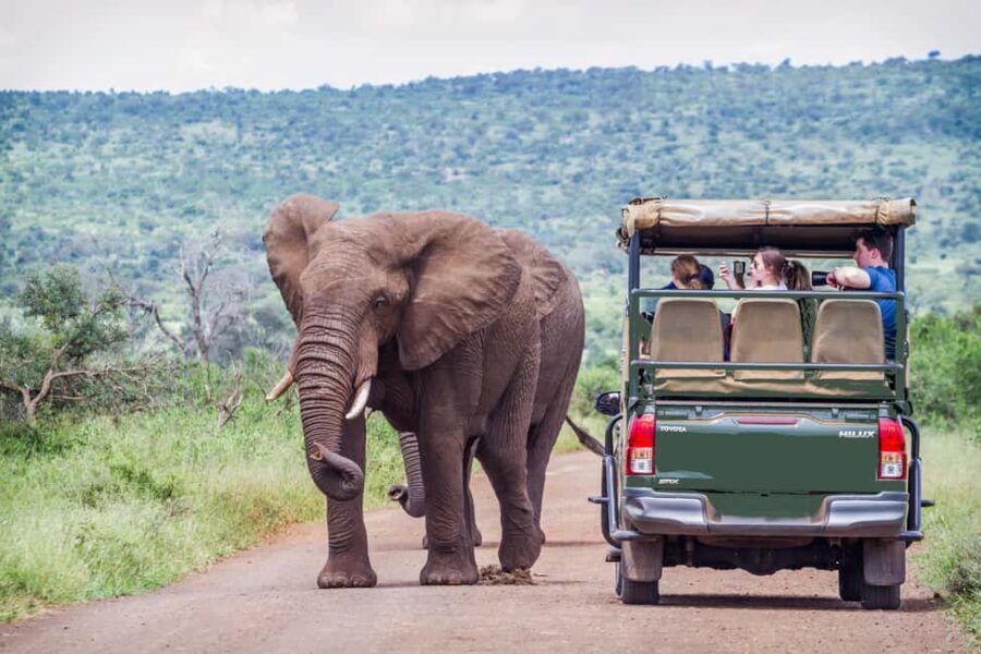 From Johannesburg: Pilanesberg Wildlife Safari - The Value of This Safari