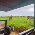 From Johannesburg: Rhino & Lion Safari and Wonder Cave Tour - Key Points