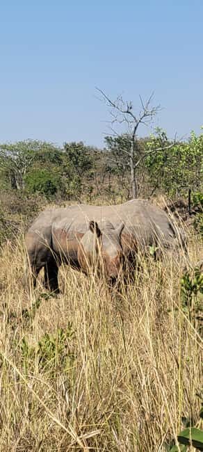From Kampala: 2-Day Murchison Falls National Park Vacation - Transportation and Logistics