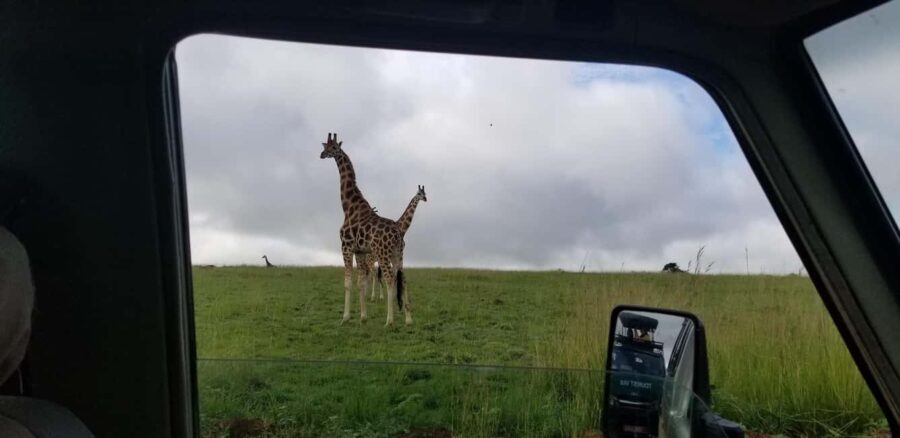From Kampala: 3-Day Murchison Falls Safari with Rhino Trek - What’s Included and What to Consider