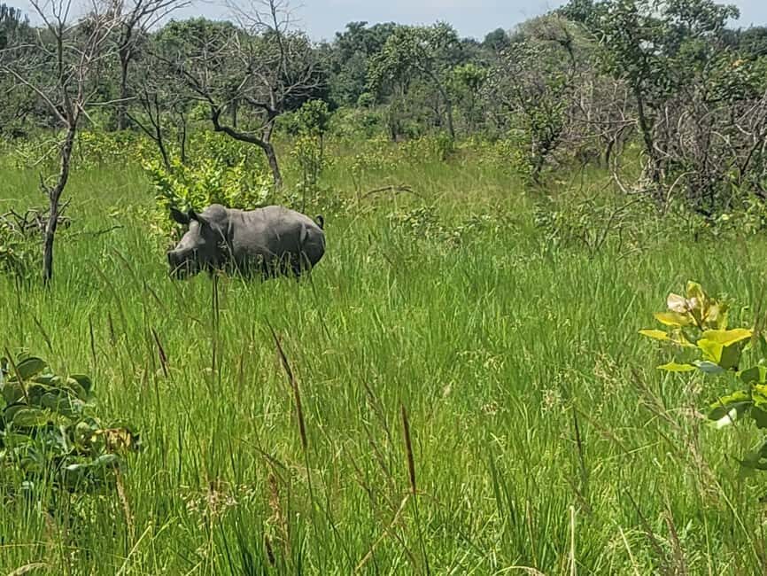 From Kampala: Ziwa Rhino Sanctuary Day Tour with Lunch - What Sets This Tour Apart?
