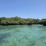 FROM KENDWA; Mnemba snorkelling and Dolphin tour - Why This Tour Delivers Value