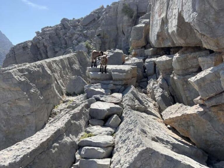 From Khasab: Explore Kumzar Hiking - Practical Details and Tips for Travelers