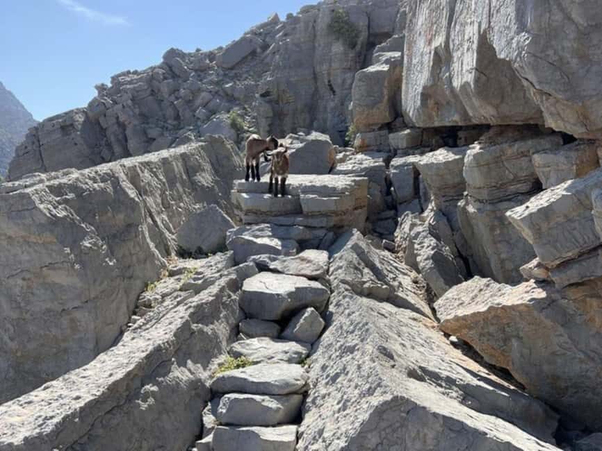 From Khasab: Explore Kumzar Hiking - Practical Details and Tips for Travelers