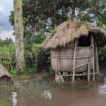 From Kigali: 1-Day IbyIwacu Cultural Village Visit - Exploring the IbyIwacu Cultural Village Tour