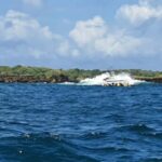 From Kwale: Kisite Mpunguti Marine National Park Tour - Who Will Love This Tour?