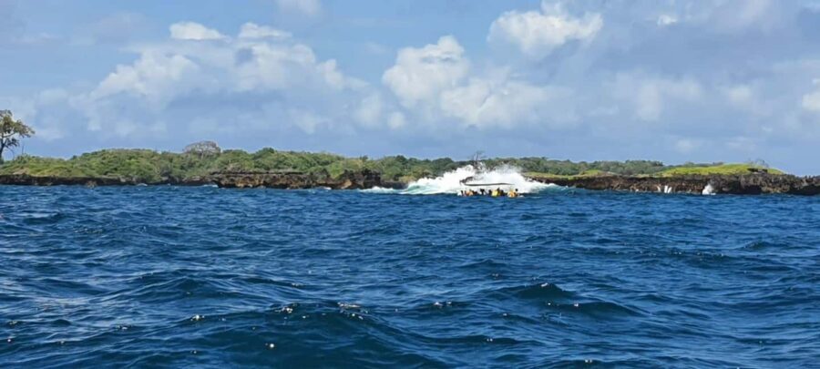 From Kwale: Kisite Mpunguti Marine National Park Tour - Who Will Love This Tour?