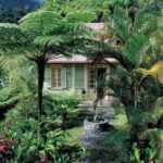 From La Reunion: Salazie Guided Tour 8 person - Authentic Insights from Reviewers