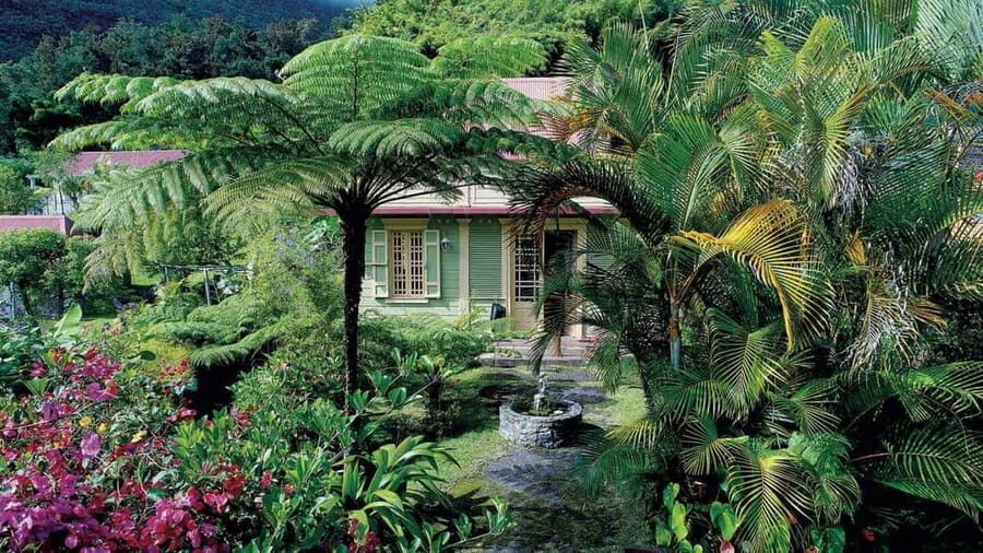 From La Reunion: Salazie Guided Tour 8 person - Authentic Insights from Reviewers