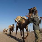 From Lalibela: 5-Day Tour Lalibela & Danakil Depression - The Practical Side: Transportation, Guides, and Inclusions